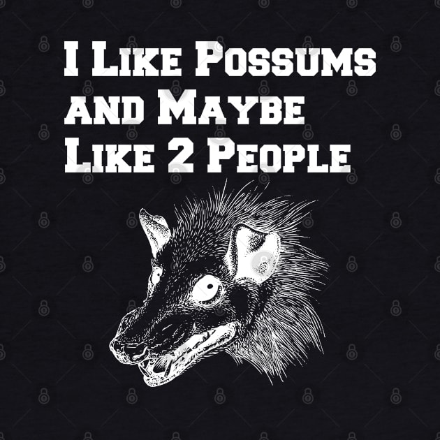 I Like Possums And Maybe Like 2 People, Funny Opossum by lightbulbmcoc
